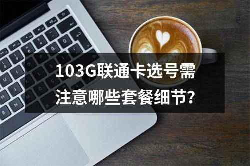 103G联通卡选号需注意哪些套餐细节？