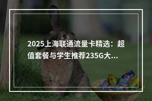2025上海联通流量卡精选：超值套餐与学生推荐235G大流量