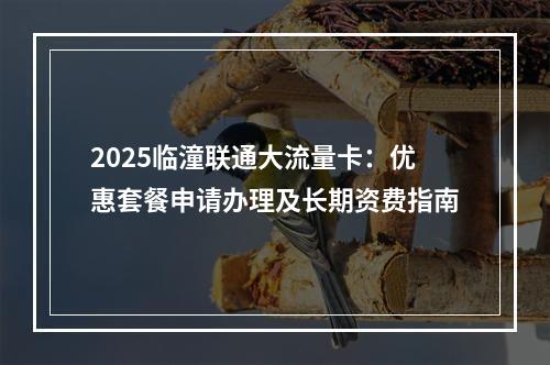 2025临潼联通大流量卡：优惠套餐申请办理及长期资费指南
