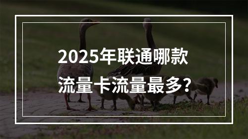 2025年联通哪款流量卡流量最多？