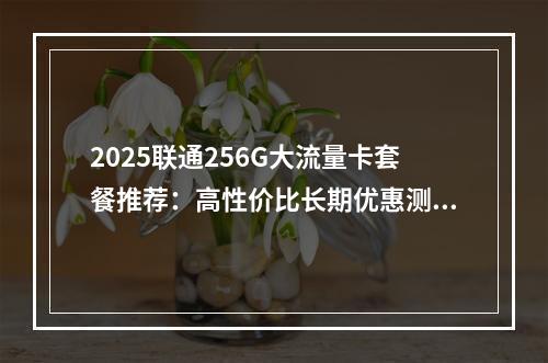 2025联通256G大流量卡套餐推荐：高性价比长期优惠测评