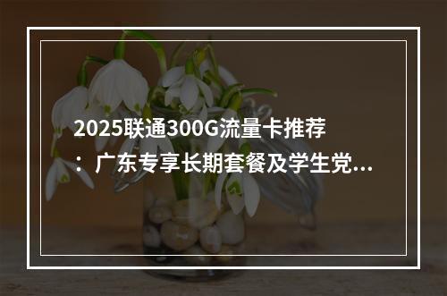2025联通300G流量卡推荐：广东专享长期套餐及学生党优选