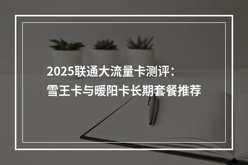 2025联通大流量卡测评：雪王卡与暖阳卡长期套餐推荐