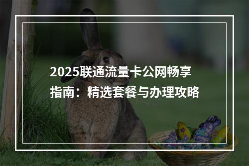 2025联通流量卡公网畅享指南：精选套餐与办理攻略