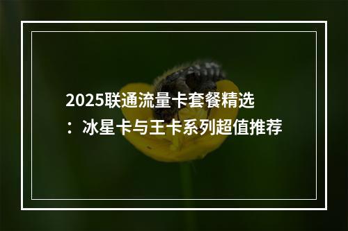 2025联通流量卡套餐精选：冰星卡与王卡系列超值推荐