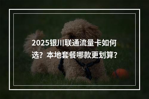 2025银川联通流量卡如何选？本地套餐哪款更划算？