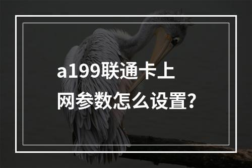 a199联通卡上网参数怎么设置？