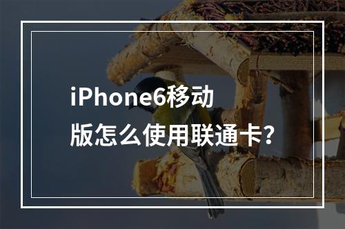 iPhone6移动版怎么使用联通卡？