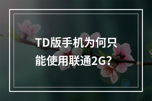 TD版手机为何只能使用联通2G？