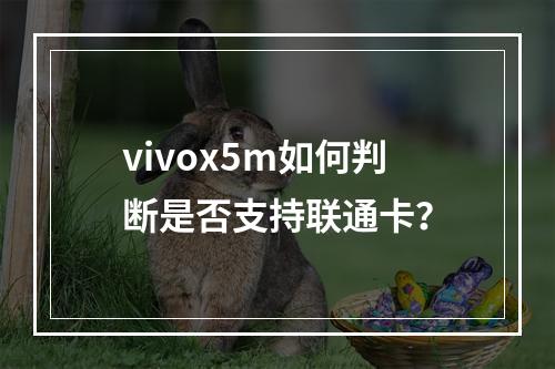 vivox5m如何判断是否支持联通卡？