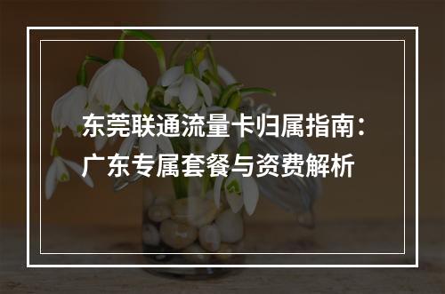 东莞联通流量卡归属指南：广东专属套餐与资费解析