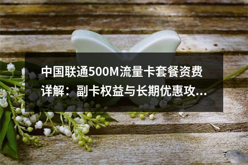 中国联通500M流量卡套餐资费详解：副卡权益与长期优惠攻略