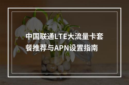 中国联通LTE大流量卡套餐推荐与APN设置指南
