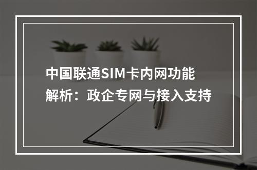 中国联通SIM卡内网功能解析：政企专网与接入支持