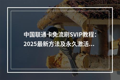 中国联通卡免流刷SVIP教程：2025最新方法及永久激活技巧