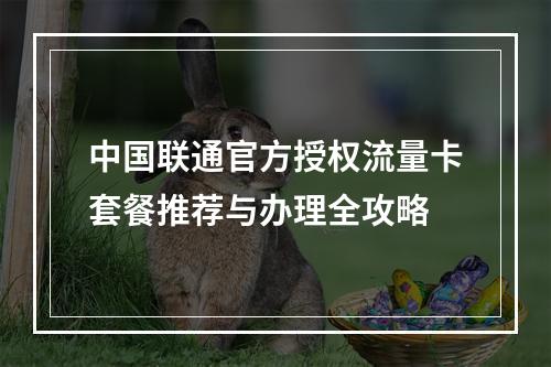 中国联通官方授权流量卡套餐推荐与办理全攻略