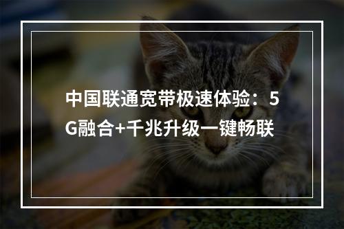 中国联通宽带极速体验：5G融合+千兆升级一键畅联