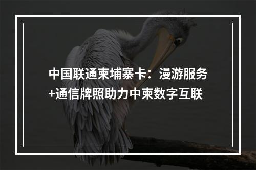 中国联通柬埔寨卡：漫游服务+通信牌照助力中柬数字互联