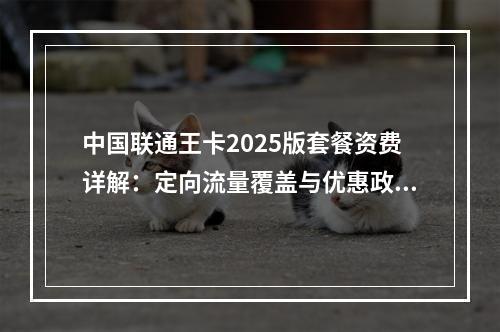 中国联通王卡2025版套餐资费详解：定向流量覆盖与优惠政策一览