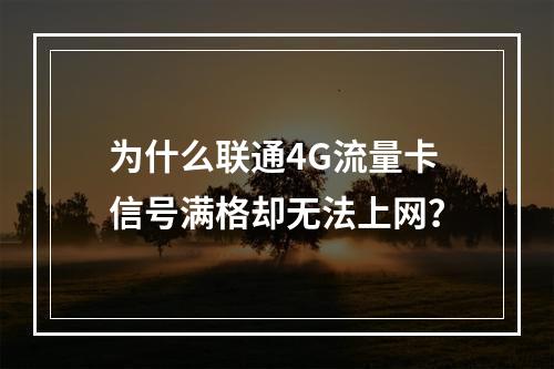 为什么联通4G流量卡信号满格却无法上网？