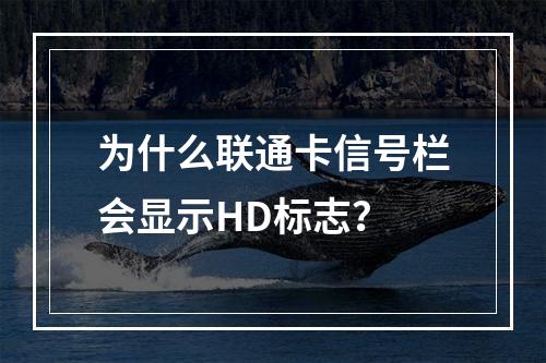 为什么联通卡信号栏会显示HD标志？