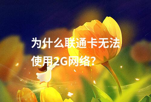 为什么联通卡无法使用2G网络？