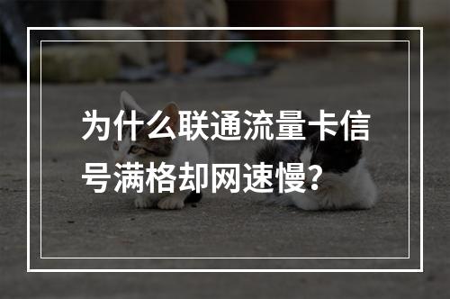 为什么联通流量卡信号满格却网速慢？