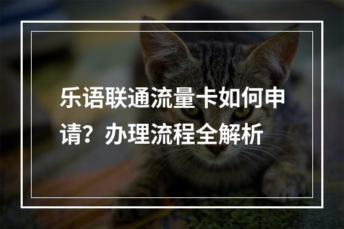 乐语联通流量卡如何申请？办理流程全解析