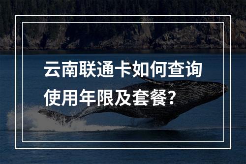 云南联通卡如何查询使用年限及套餐？
