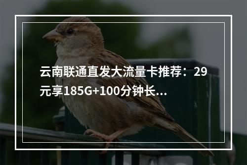 云南联通直发大流量卡推荐：29元享185G+100分钟长期套餐
