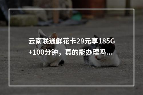 云南联通鲜花卡29元享185G+100分钟，真的能办理吗？