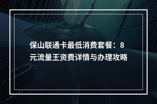 保山联通卡最低消费套餐：8元流量王资费详情与办理攻略