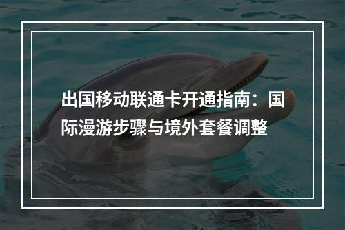出国移动联通卡开通指南：国际漫游步骤与境外套餐调整