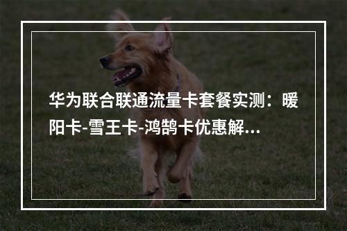 华为联合联通流量卡套餐实测：暖阳卡-雪王卡-鸿鹄卡优惠解析
