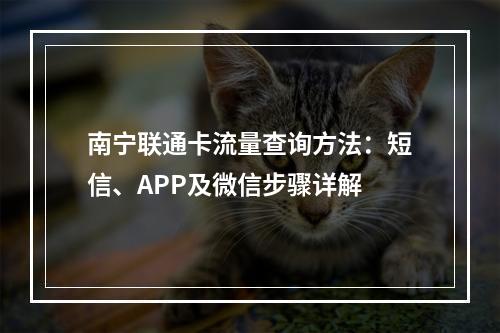 南宁联通卡流量查询方法：短信、APP及微信步骤详解