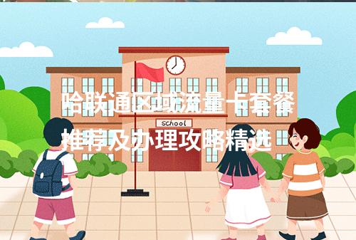 哈联通区域流量卡套餐推荐及办理攻略精选