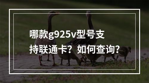 哪款g925v型号支持联通卡？如何查询？