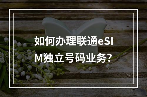 如何办理联通eSIM独立号码业务？