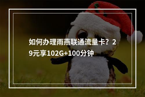 如何办理雨燕联通流量卡？29元享102G+100分钟