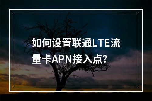 如何设置联通LTE流量卡APN接入点？