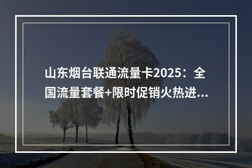 山东烟台联通流量卡2025：全国流量套餐+限时促销火热进行