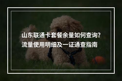 山东联通卡套餐余量如何查询？流量使用明细及一证通查指南