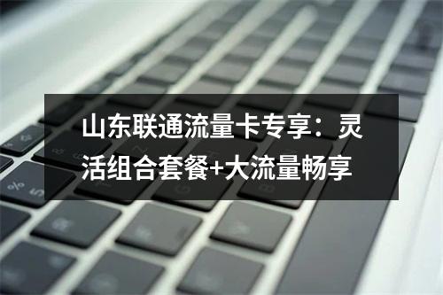 山东联通流量卡专享：灵活组合套餐+大流量畅享