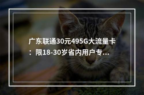 广东联通30元495G大流量卡：限18-30岁省内用户专属优惠