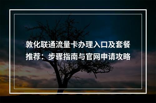 敦化联通流量卡办理入口及套餐推荐：步骤指南与官网申请攻略