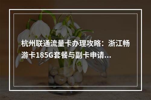 杭州联通流量卡办理攻略：浙江畅游卡185G套餐与副卡申请指南
