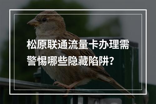 松原联通流量卡办理需警惕哪些隐藏陷阱？