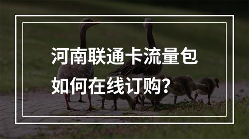 河南联通卡流量包如何在线订购？