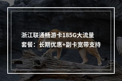 浙江联通畅游卡185G大流量套餐：长期优惠+副卡宽带支持