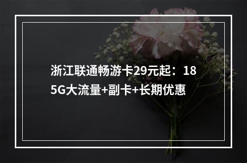 浙江联通畅游卡29元起：185G大流量+副卡+长期优惠